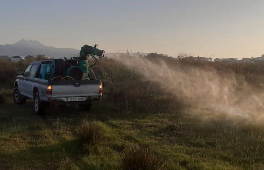 El Ayuntamiento actúa en las inmediaciones de colegio la Marina y en la Marjaleria del Grao en las labores de control de mosquitos