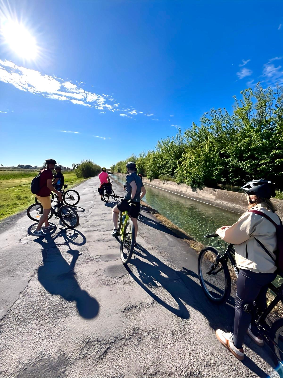 Castellón acerca y promociona el valor ecológico y turístico de la Marjalería a través de visitas guiadas en bicicleta